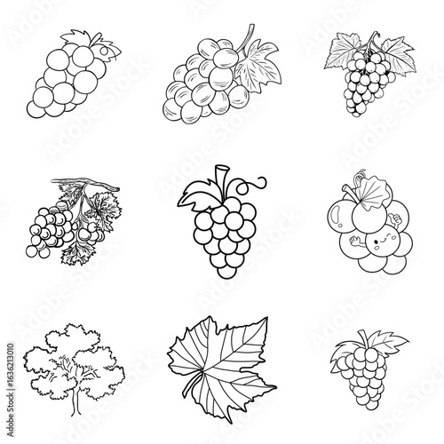 Adobe Illustrator Artwork