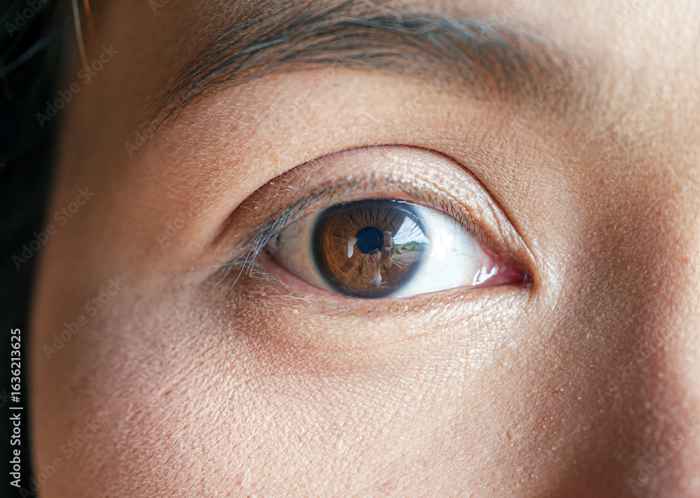 Obraz premium Close-up image showcasing the beautiful brown eyes of a asian woman with natural makeup. Ideal for beauty, skincare, or eye care concepts, this high-quality photo emphasizes elegance and allure.v