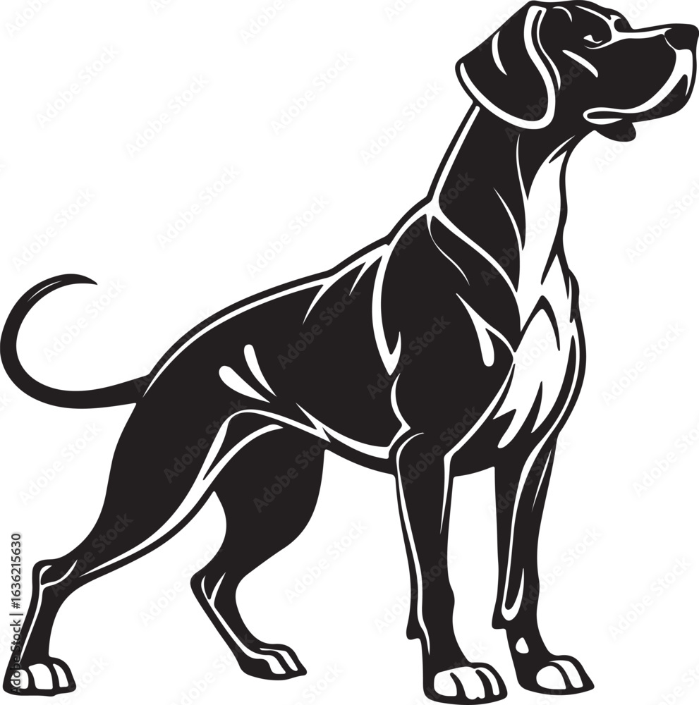 Fototapeta premium Drever dog vector art silhouette image