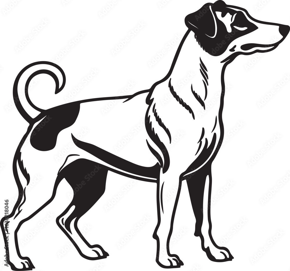 Fototapeta premium Drever dog vector art silhouette image