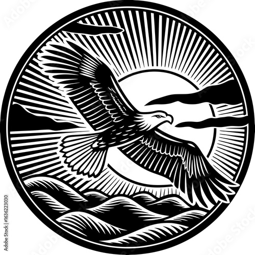 vector illustration of an flying eagle
