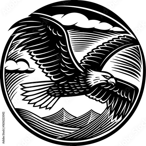 vector illustration of an flying eagle