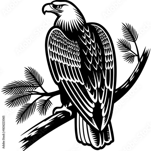 eagle on a branch vector illustration