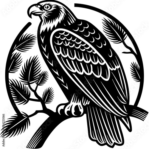 eagle on a branch