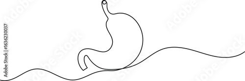Human stomach icon continuous one line drawing for anatomy and medical design concepts