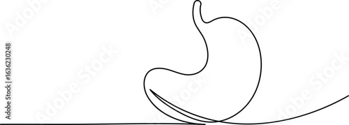 Human stomach icon continuous one line drawing for anatomy and medical design concepts