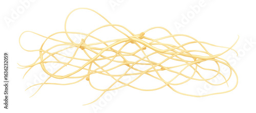 Dodder vine with thin, filamentous stems and absence of leaves or chlorophyll