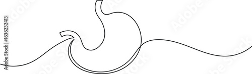 Human stomach icon continuous one line drawing for anatomy and medical design concepts