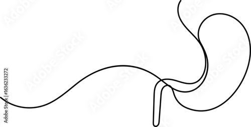 Human stomach icon continuous one line drawing for anatomy and medical design concepts