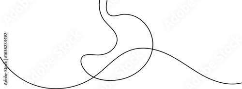 Human stomach icon continuous one line drawing for anatomy and medical design concepts