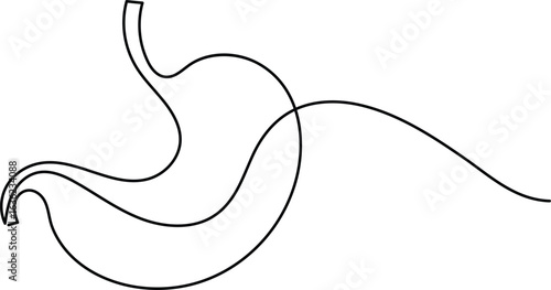 Human stomach icon continuous one line drawing for anatomy and medical design concepts