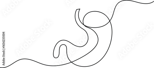 Human stomach icon continuous one line drawing for anatomy and medical design concepts
