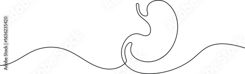 Human stomach icon continuous one line drawing for anatomy and medical design concepts