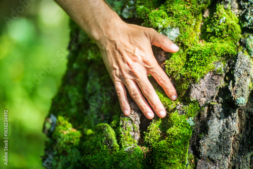 A man's hand touch the tree trunk close-up. Bark wood.Caring for the environment. The ecology concept of saving the world and love nature by human