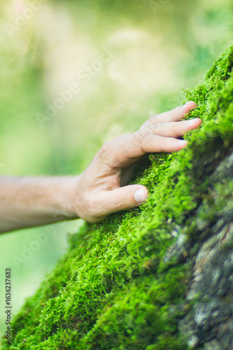 Man gently touching a tree trunk close-up. Bark wood. Connection with nature. Ecology, environmental care, love for the planet