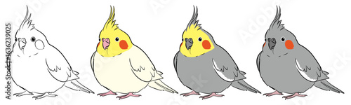 ふっくらオカメインコイラストセット01
