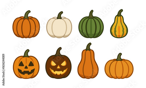 Colorful pumpkins and gourds collection in flat design for autumn and halloween decor