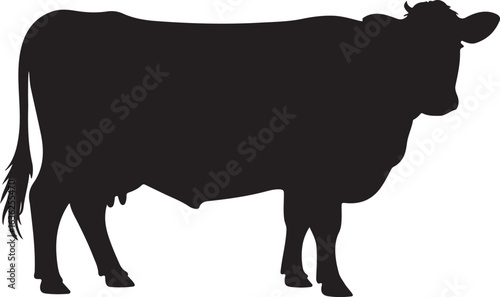 Black silhouette of a cow with horns and udder standing on white background Keywords: cow, cattle