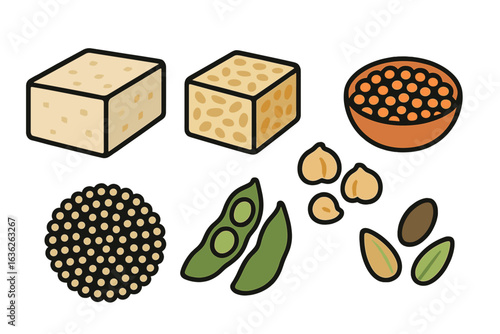 Variety of plant-based protein sources displayed on a clean surface with a focus on healthful eating choices