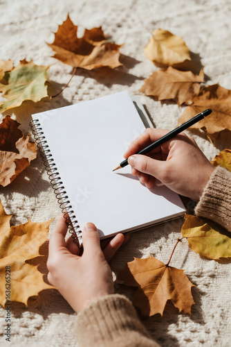 Autumn harvest notebook brown maple leaves decoration frame photos greeting cards mockup photo E-commerce marketing poster Background shooting scene
