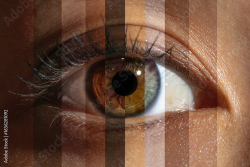 Billede på lærred Creative collage of diverse people eyes forming a unified and harmonious visual composition