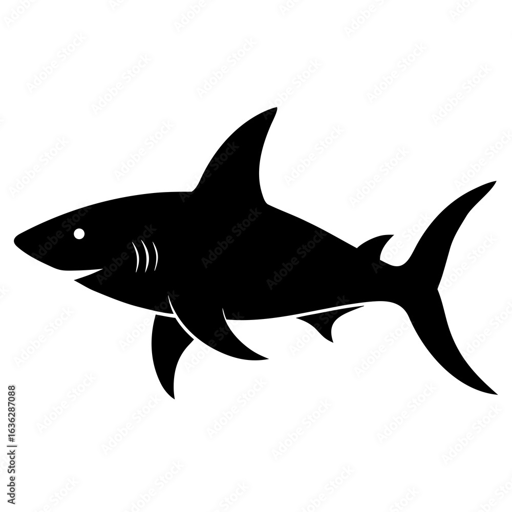 Fototapeta premium shark vector illustration