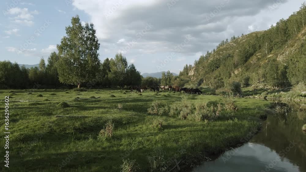 Horses grazing in a lush green valley with mountains Horses grazing in a lush green valley with mountains