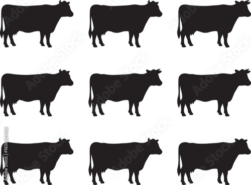Nine Black Cow Silhouettes Standing on White Background cattle bovine