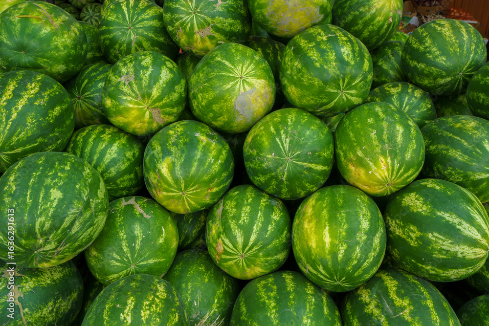 Watermelons Watermelons