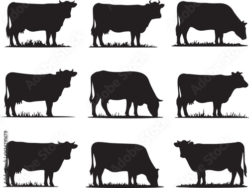 Nine Black Cow Silhouettes Standing and Grazing on White Background cattle bovine