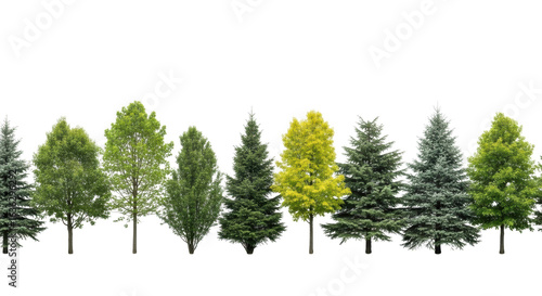 Ultra-realistic, diverse row of green and yellow-leaved deciduous trees and evergreen conifers on green grass, stark white studio background, no shadows, distinct botanical details, concept for