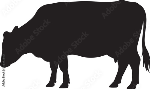 Black Silhouette of a Cow Grazing on Grass on a White Background cattle livestock
