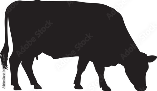 Silhouette of a cow grazing with its head down on a white background cattle bovine
