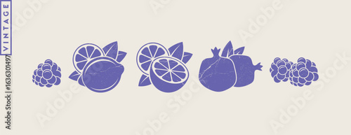 Fruit. Vintage style lemon lime pomegranate raspberry and orange fruit with grunge texture. Vegetarian food vector  
