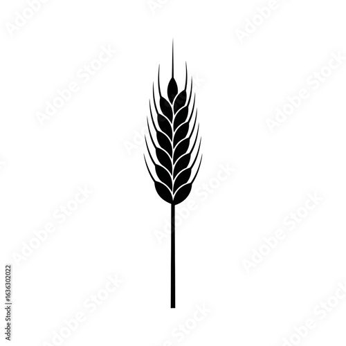 Black silhouette of a wheat ear isolated on white background, simple and elegant