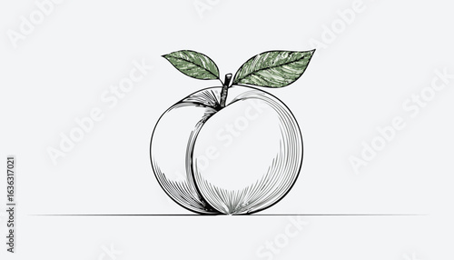 tomato isolated on transparent png vector.juicy, red, tomato, food, fruit, ingredient, organic, ripe, vegetable, clip art, graph, sphere, colors, cut out, droplet, lifestyles, moisture, produce,