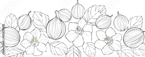 Cape gooseberry isolated on transparent png vector.cut out, color image, no people, photography, white background, fruit, square - composition, tomatillo, mexico, treasure, gold, nourishment, produce,