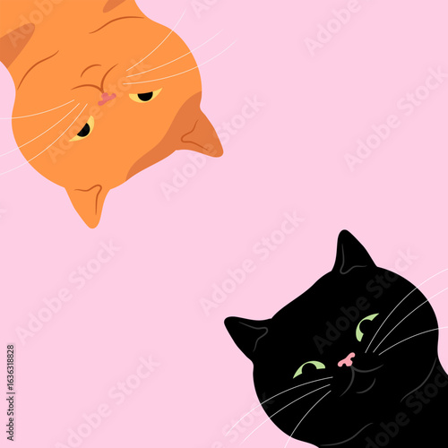 Two cute cats looking down. Curious ginger and black cats background. Vector illustration