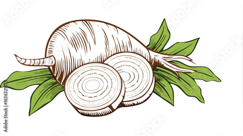 Taro isolated on transpare vector.no people, freshness, healthy eating, food, cut out, color image, photography, studio shot, vertical, food and drink, healthy lifestyle, single object, 