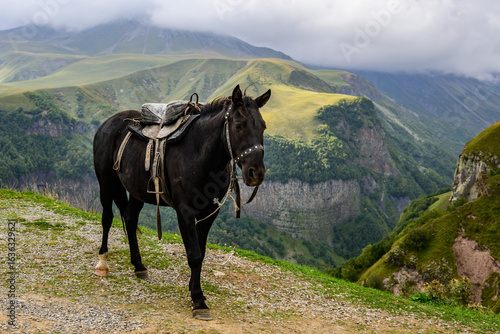 A black saddled horse stands on the hill, near Gudauri, Georgia. Historically, horses were vital for trade and defense across the rugged Caucasus. 