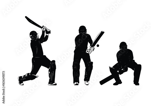 Silhouette of a cricket batsman in action, ready to hit the ball, isolated on a white background sports silhouette