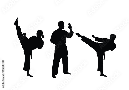 Silhouette of a karate practitioner in a fighting stance, isolated on white background sports silhouette