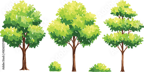 Green trees and bushes in summer, natural forest elements, vibrant foliage, botanical garden trees, seasonal landscape plants, eco-friendly environment, nature background illustration
