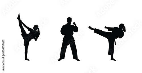 Silhouette of a karate fighter in a defensive stance, isolated on white background sports silhouette