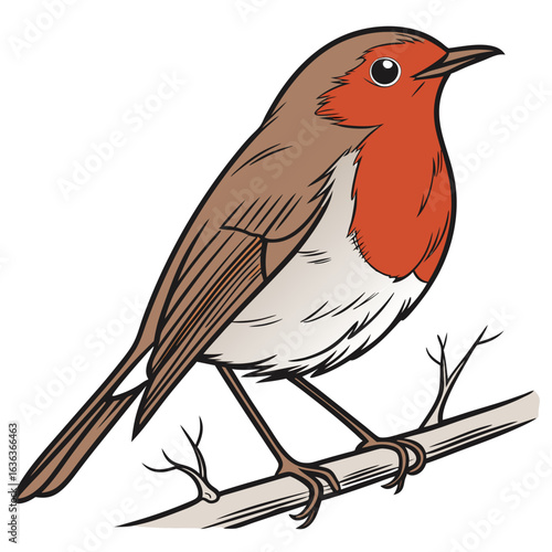 vector illustration of a bird
