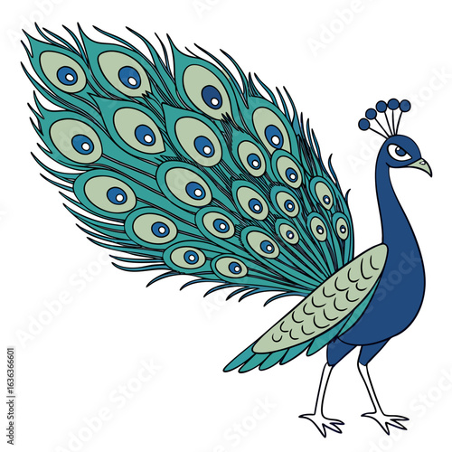 peacock with feathers