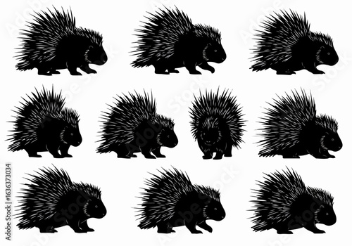Black porcupine silhouettes illustration set on white background showcasing various poses and quill details, perfect for wildlife and nature themes.