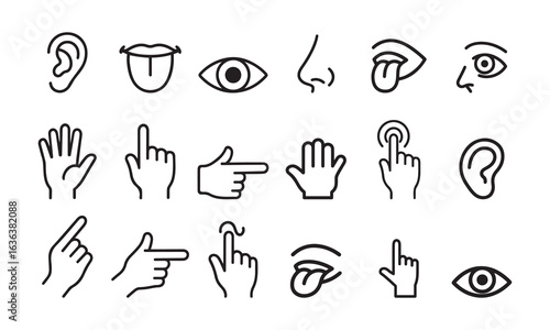  Human Body Senses and Hand Gestures Icons, Touch, Sight, Hearing Vector