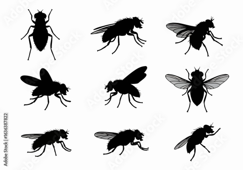 Collection of Fly Silhouettes: Diverse Vector Illustrations of Insects in Various Poses, Ideal for Entomology and Pest Control Designs on White Background.