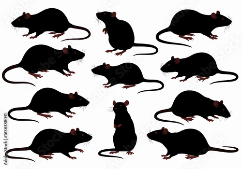 Black Rat Silhouettes Vector Set: Multiple Rodent Poses on White Background for Animal and Pest Illustrations